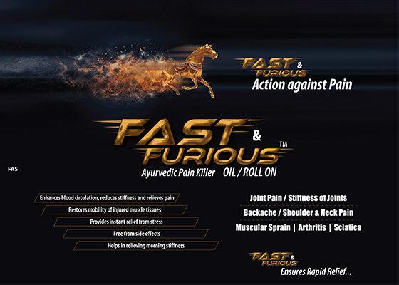 Catalog Fast Furious Ayurvedic Pain Killer oil/roll on