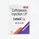 Cefolis®-1-Gm-1s
