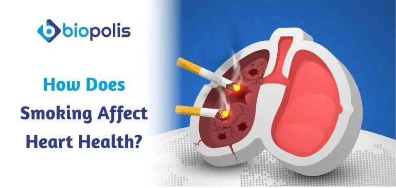 How Does Smoking Affect Heart Health