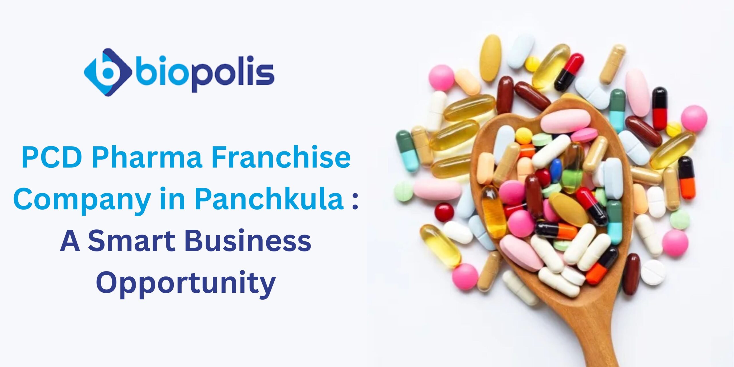 PCD Pharma Franchise Company in Panchkula: A Smart Business Opportunity