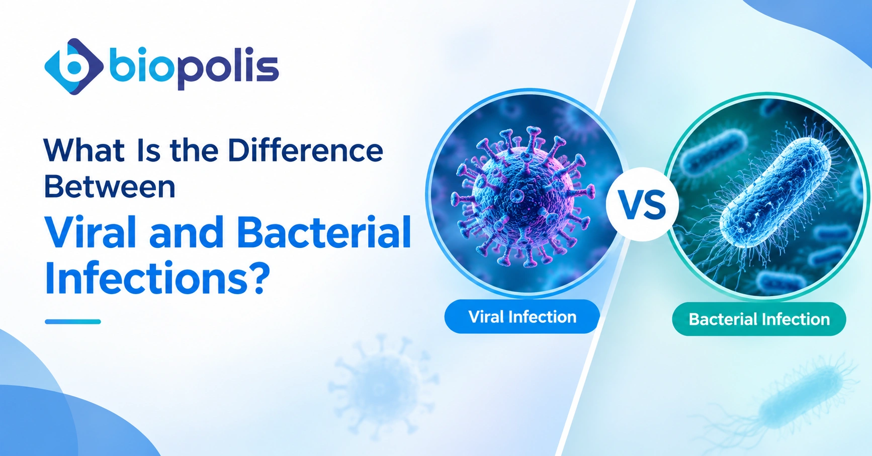 What Is the Difference Between Viral and Bacterial Infections