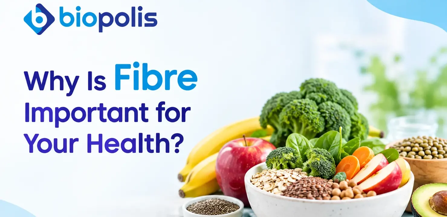Why Is Fibre Important for Your Health