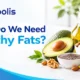 Why Do We Need Healthy Fats 80x80